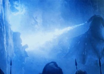 “שנת הדרקון”: תוכנית פשוטה ויעילה להחזרת הביטחון העצמי שלנו