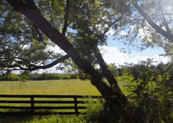 מסתורי הגדר הנאמנה, ומדוע אנו שוב תחת סכנה