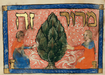 סיפור מופלא על הגדת פסח, שנשתכחה, ועל התיאוריה החדשה של בשאר, שישראל “מזדקנת”. האמנם?