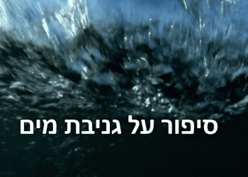 האסון והחורבן: ומי אמור לשלם את המחיר? הכנרת המסכנה שלנו? אנחנו? סיפור על גניבת מים