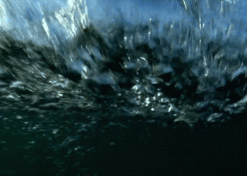 האסון והחורבן: ומי אמור לשלם את המחיר? הכנרת המסכנה שלנו? אנחנו? סיפור על גניבת מים