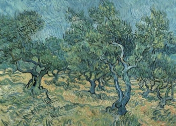 הגורל המופלא של הזית הזקן ואנחנו: כתב חידה