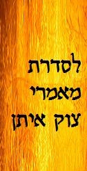 סידרת מאמרי מלחמת צוק איתן, עזה