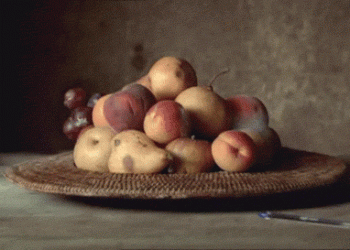 איך קוברים רוח רפאים? על חייה ומותה של ה”ערביות”