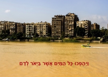 הנילוס משנה את צבעו: האם "הציר הסוני" הגיע לסוף דרכו?