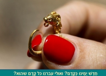 הכנפיים גדולות מהקן? ישראל הנוצצת, בעולם של דירוגי אשראי