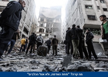 הכבוד הורג, והכבוד מחייה: עוד מהלך התאבדותי פלשתינאי?