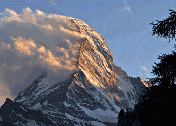 אירופה בממלכת המחלה והמתים. על ‘הר הקסמים’: