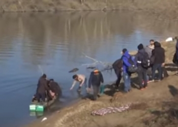 לפי שר הפנים הטורקי: מה מספר הפליטים המוסלמים שכבר חצו את הגבול ליוון (ולאירופה)? צפו: