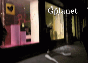 מי מצית את ארה”ב, למה, והאם היהודים צריכים לעזוב?