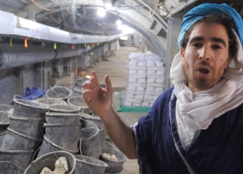 אחרי אלפיים שנה – הפלא חוזר: הולכת ונחשפת דרך עולי הרגל המקורית להר הבית. בינתיים: סגור לביקור, רק כאן: