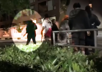 עלייתה, ונפילתה של העיר מהגוני: “האוטונומיה” הפרוגרסיבית בסיאטל נכבשה מחדש, והזוועות מתגלות: