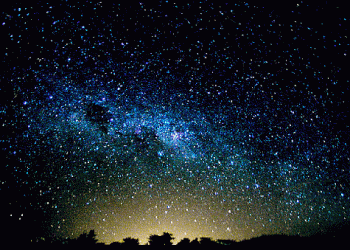 המרד המשותף נגד האימפריה העות’מאנית? והאם ישראל היא כבר מלכת הערבים?