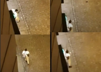 בקרוב של ד”ר גיא בכור: מרחץ דמים מוסלמי בוינה. האם אירופה אבודה? והיהודים?