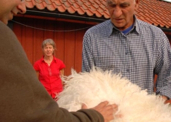 האגדה השבדית נגמרה. איש הדבורים איננו.