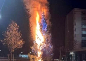 מאווירת החג בעיר ליון, כולל העשרה תרבותית: