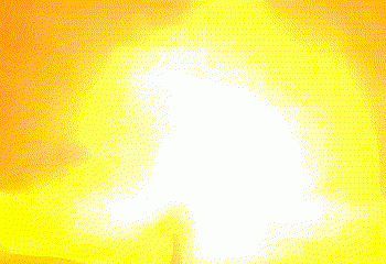 נמשכת התקוממות המוסלמים ברוב ערי “הולנד”. מפוצצים גשר באמסטרדם?