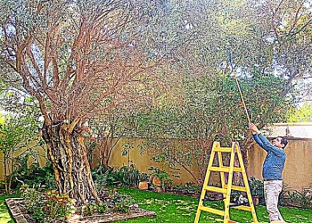 200,000 צפיות בסרט החדש, מהנצפים ביותר ביוטיוב ישראל: