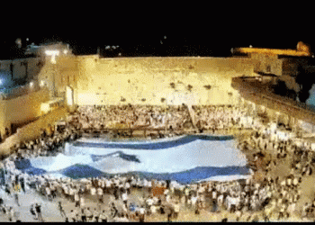 צונאמי: שינוי בתדמית ישראל באירופה: מתחילים לגלות אותנו