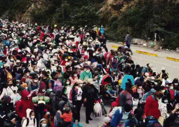 מותה של אמריקה: כמה מסתננים חדרו לארה”ב בחודש מרץ, והאם הם יורשו להישאר? המספרים ידהימו אתכם: