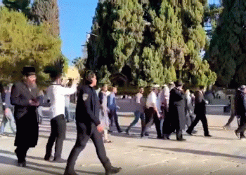 השקר הראשון של חמאס: היהודים חזרו הבוקר להר הבית. צפו: