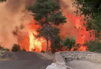 מלחמת העצמאות 2021, עכשיו שורפים: