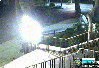 דאעש בניו יורק? צפו כיצד מנפצים את הפסלים הקתוליים. מוסתר, כמובן: