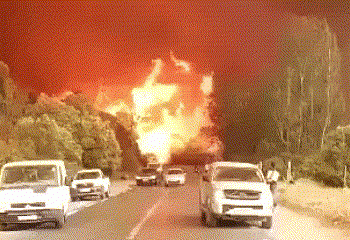 אלג’יריה בוערת: גל השריפות הגדול ביותר, 69 הרוגים. ומה עשו לשדרן, שנחשד כמצית? אזהרת צפייה ☠️