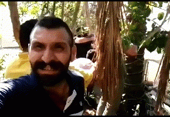 ב ק ר ו ב של ד”ר גיא בכור: “לבנון” בגהינום הסוני שיעי?