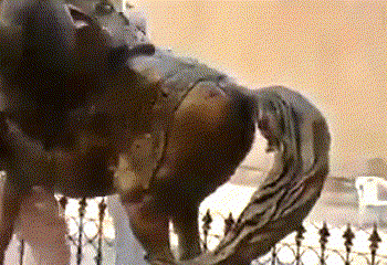 נצחון הטאליבאן מצית גל קיצונות איסלאמית בפקיסטן: