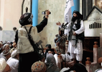 ח ד ש: האם פיגוע איסלאמי על אדמת ארה”ב שוב אפשרי? על הנעשה מאחורי הקלעים