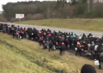 הפלישה הגדולה התחדשה? אלפים בדרך לגרמניה. מאיפה?