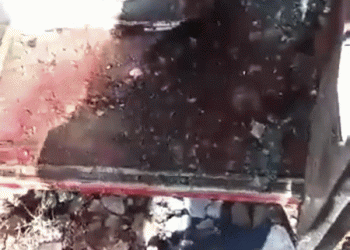 אזהרת צפייה קלה: וידאו מאוטובוס המוות של חיילי בשאר בידי דאעש. צפו: