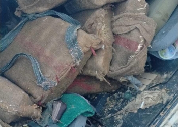 וכמה מבריחי סמים נהרגו היום בגבול “סוריה”-ירדן?