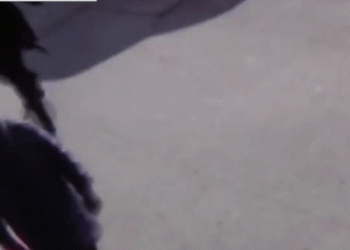 ניו יורק המסוכנת: אישה נדחפה אל מותה על מסילת התחתית במנהטן. מי הקורבנות?