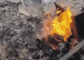 רוסיה: חיל האוויר האוקראיני הפציץ כפר ברפובליקת המורדים. ומה תגובת פוטין הנחרצת לנאום זלנסקי?