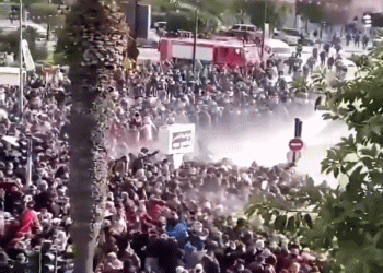 ההפיכה בתוניסיה הושלמה: הנשיא השתלט על כל גופי השלטון. אביב חדש?