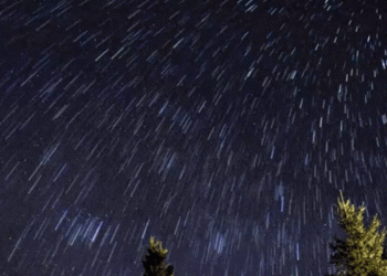 הנתונים החדשים: האם הישוב בארץ עם מספר הילדים לאם הנמוך ביותר – הוא מוסלמי?