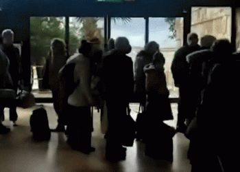 מראות שלא ראינו מאז העלייה ההמונית האחרונה: המטוסים לא מפסיקים לנחות. כמה עלו תוך שבועיים?