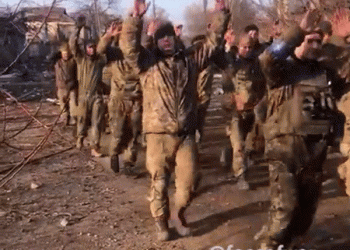 האם המערב הרים ידיים? ותמונת הקרב בחזיתות הדרום והמזרח: