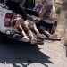 טבח טורקי באזרחים שיעים באיזור תיירות כורדי, צפון “עיראק”. ומה מאיימות המיליציות של איראן כנקמה?