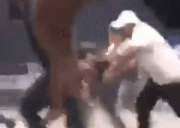 מלחמת האזרחים: קרבות שליטה כבדים במרכז בגדאד, 20 הרוגים