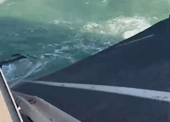 פיצוץ גשר קרים בידי האוקראינים: כל הפרטים, הסרטונים, והאם הגשר חזר לתפקוד?