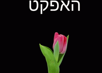 מזל טוב, ג’יפלאנט בן 16 היום. ולכן נפתח לכולם המאמר החגיגי: ‘אפקט פרח הצבעוני, המהדורה העולמית’