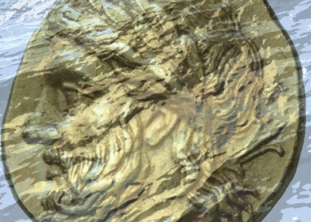 תגלית גז נוספת במי ישראל, במאגר זאוס. האם זה הרבה או מעט? נתונים ופרשנות