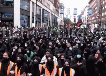 הלם בבריטניה, ניצחון אצל המוסלמים: תוצאות מפקד האוכלוסין הגיעו. לכמה זינקו המוסלמים? ניתוח הנתונים, וגרפים