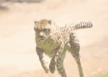 בשורות כלכליות: אז למה התוצר של ישראל מזנק? כאן נבין