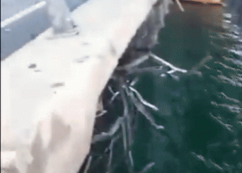 איך פגעו האוקראינים בגשר קרים מחדש? האם הרוסים ינקמו? האם תושבי קייב בורחים?