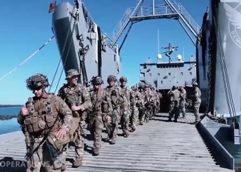 הנחתת הראשונה הגיעה לארץ. לשם מה ישראל זקוקה לנחתות ימיות?