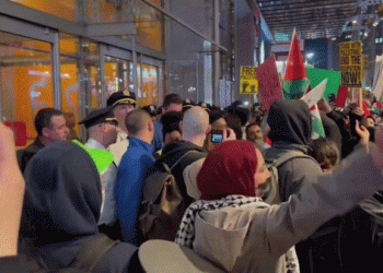 לא צפינו שהמוסלמים כבר יטפלו בתומס פרידמנים למיניהם? אז זה הגיע?